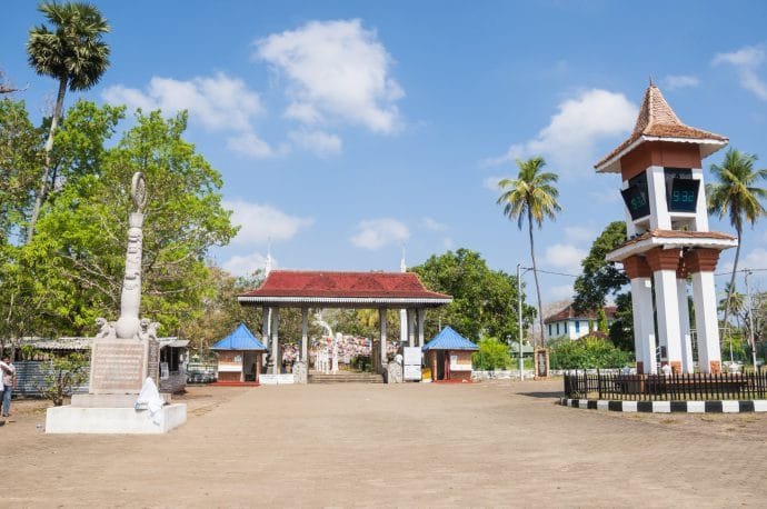 arbre bodhi - anuradhapura - sri lanka