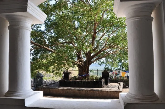 dambulla caves - sri lanka