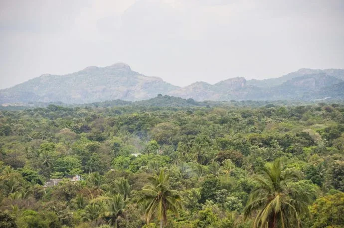 dambulla caves - sri lanka