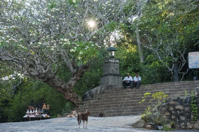 dambulla caves - sri lanka
