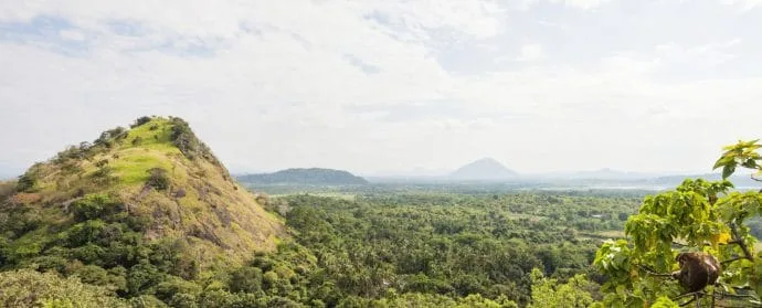 dambulla caves - sri lanka