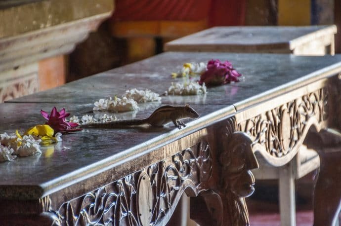 isurumuniya vihara - anuradhapura - sri lanka