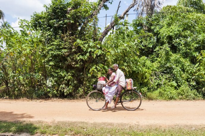 rizieres - anuradhapura - sri lanka