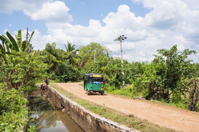 rizieres - anuradhapura - sri lanka