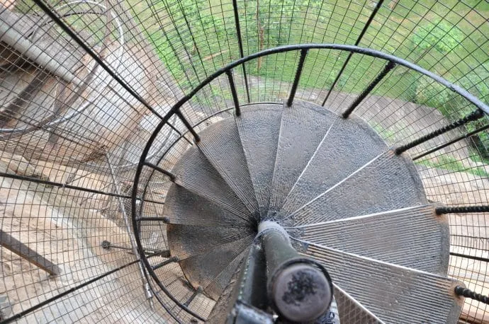 lion rock - sigiriya - sri lanka