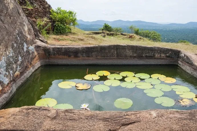lion rock - sigiriya - sri lanka