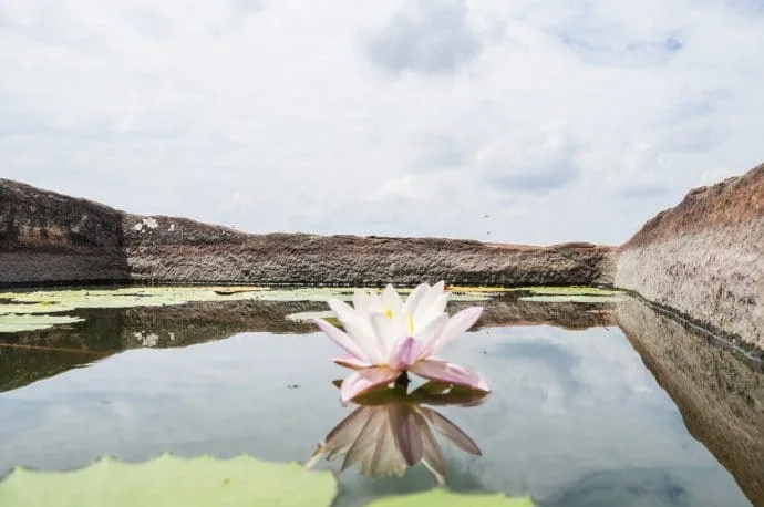 lion rock - sigiriya - sri lanka