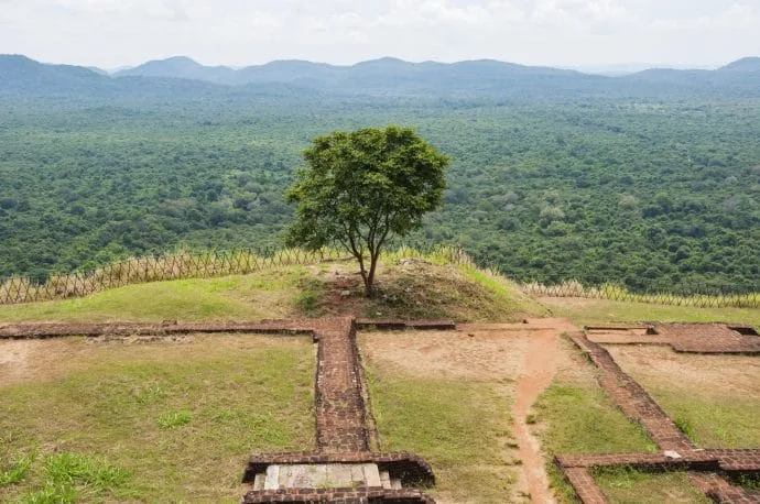 lion rock - sigiriya - sri lanka