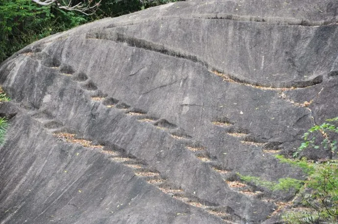 lion rock - sigiriya - sri lanka