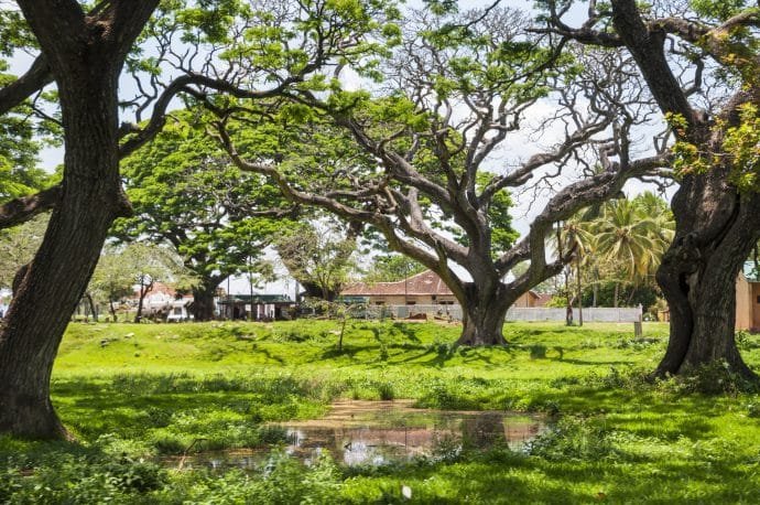 stupa - anuradhapura - sri lanka