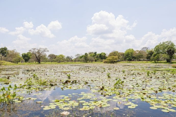 anuradhapura - sri lanka