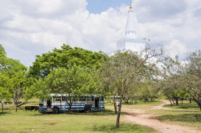 stupa - anuradhapura - sri lanka