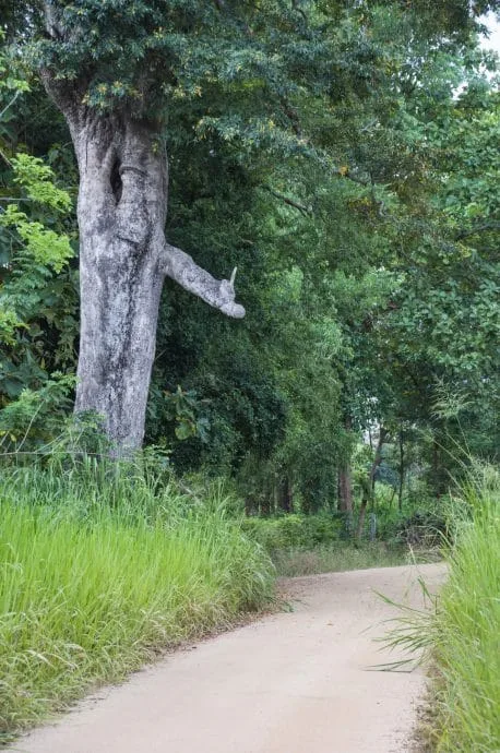 sigiriya village - sri lanka