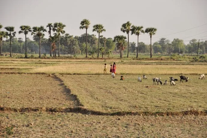 bodhgaya- india