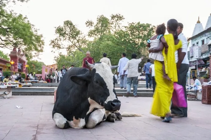 bodhgaya - india
