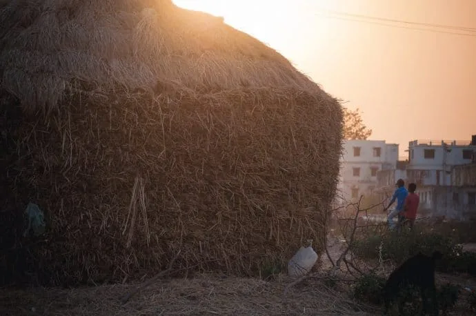 hay bale bodhgaya - india