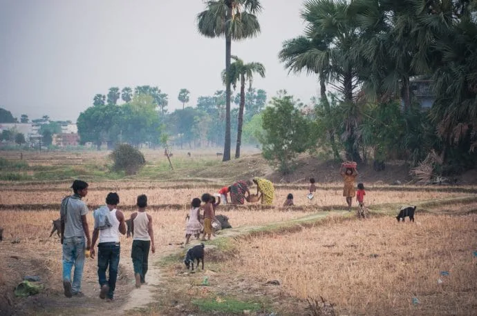 bodhgaya fields - india