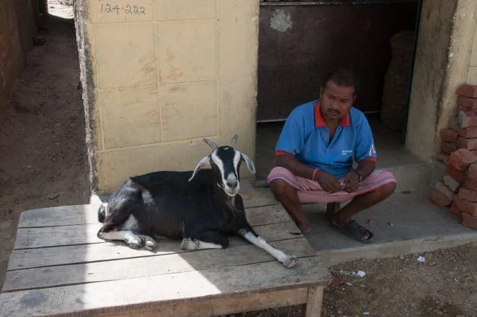 scene of life inhabitants bodhgaya - india