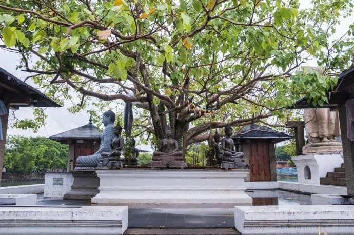 sima malaka - colombo - sri lanka