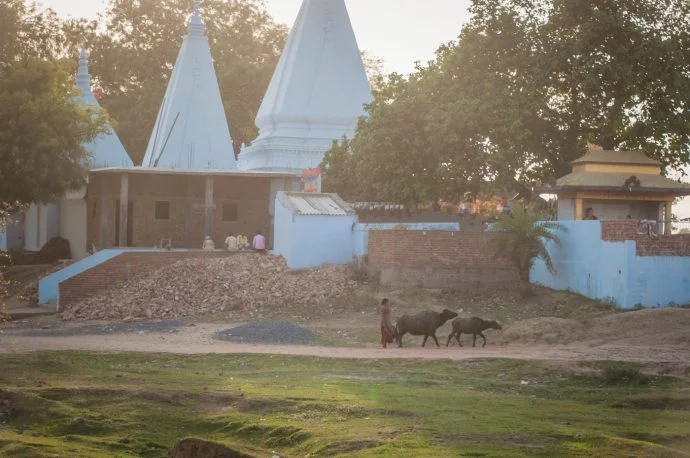 sujata temple bodhgaya - india
