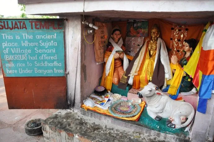 sujata temple bodhgaya - india