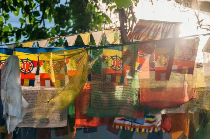 sujata temple bodhgaya - india