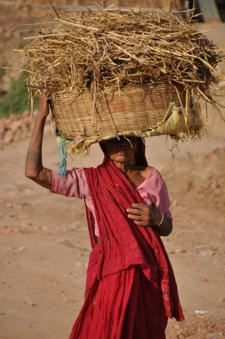 old woman poor region bihar bodhgaya - india