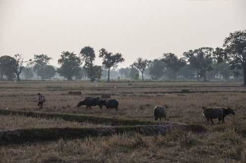 Prasat : petite immersion dans la campagne thaïlandaise de l’Issan