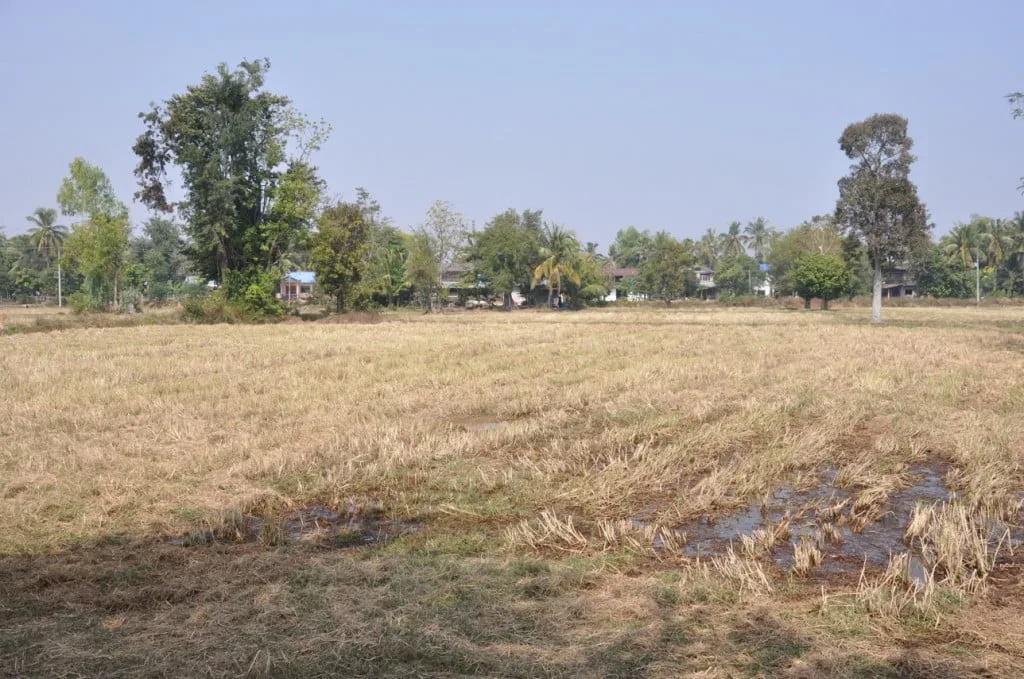 Road to Prah Wihan National Park