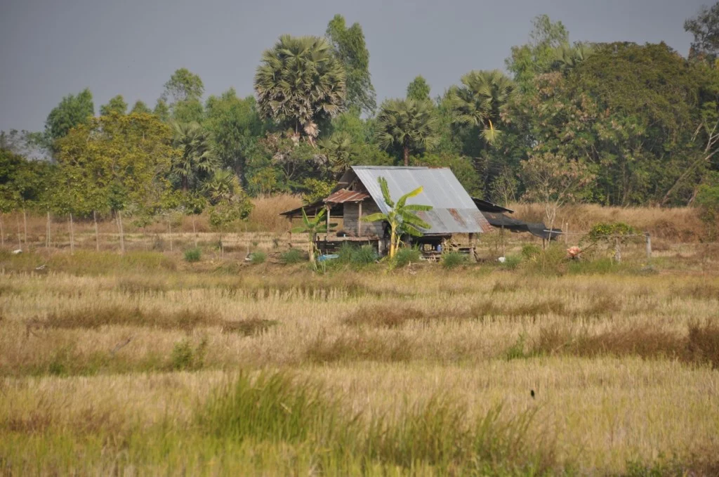 Landscape towards Phu Chong Na Yoi National Park-Ubon Ratchathani