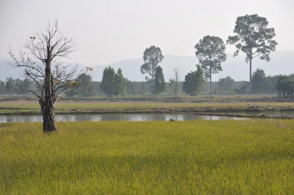 Landscape towards Phu Chong Na Yoi National Park-Ubon Ratchathani