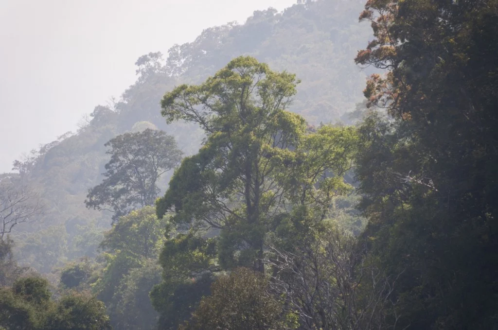 Khao Phra Wihan National Park