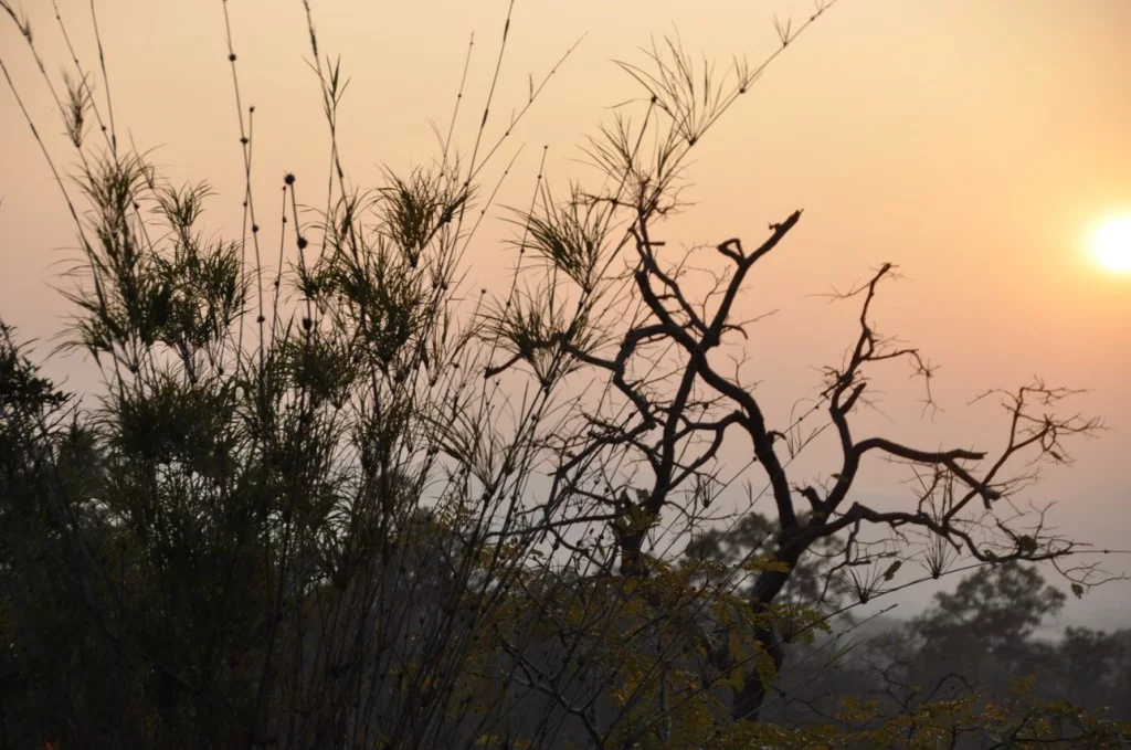 Sunset Phu Chong Na Yoi National Park-Ubon Ratchathani