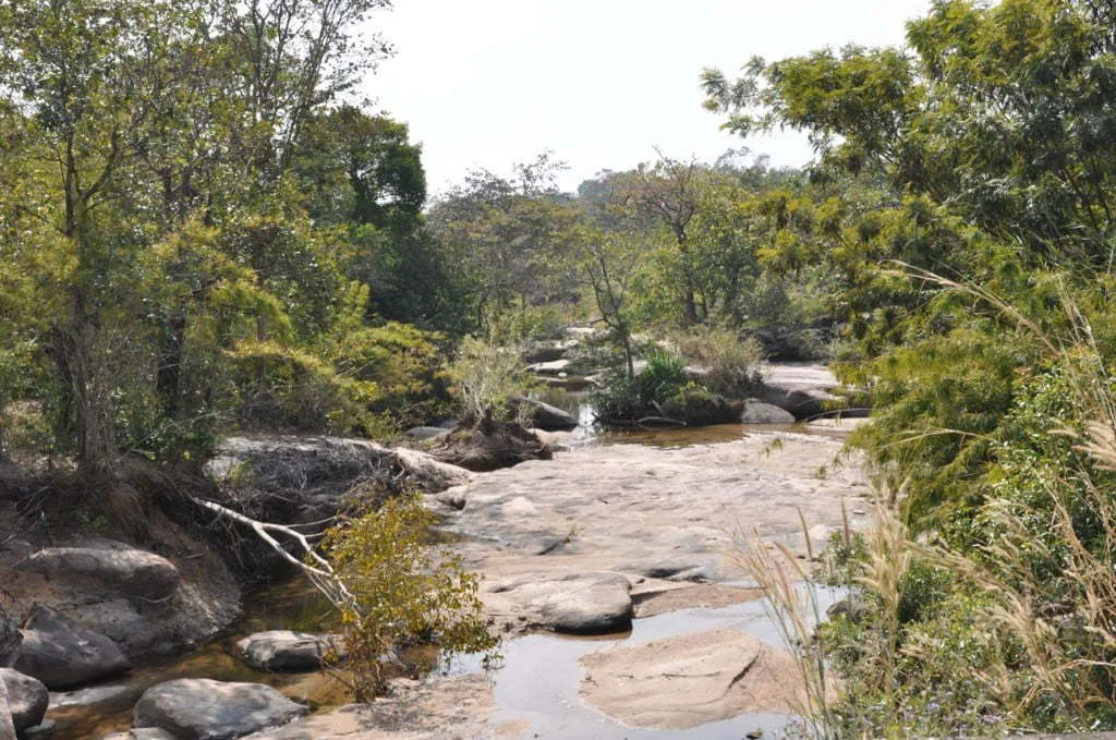 roadside scenery to Wat Patihan-Ubon Ratchathani