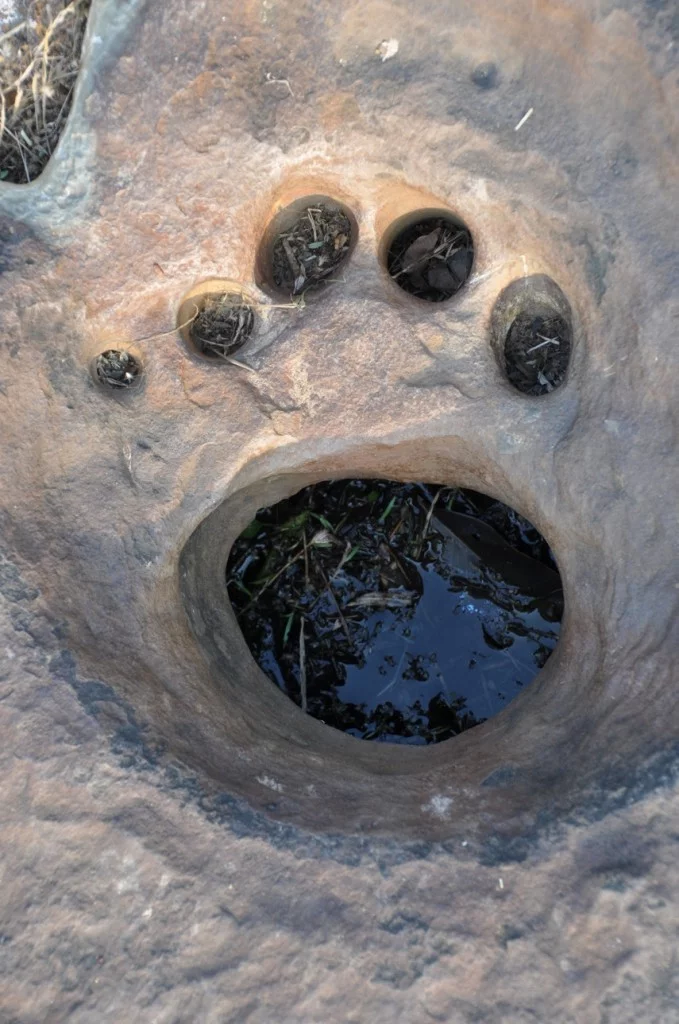 Kaeng Tana National Park-Khong Chiam-Ubon-Thailand