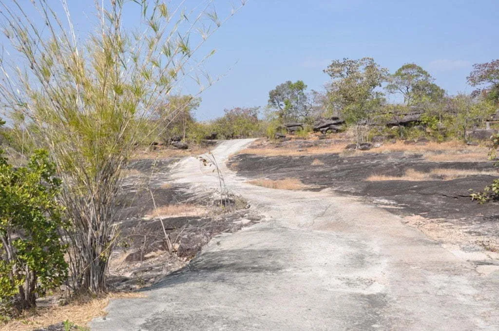 Path leading to Wat Patihan-Ubon Ratchathani