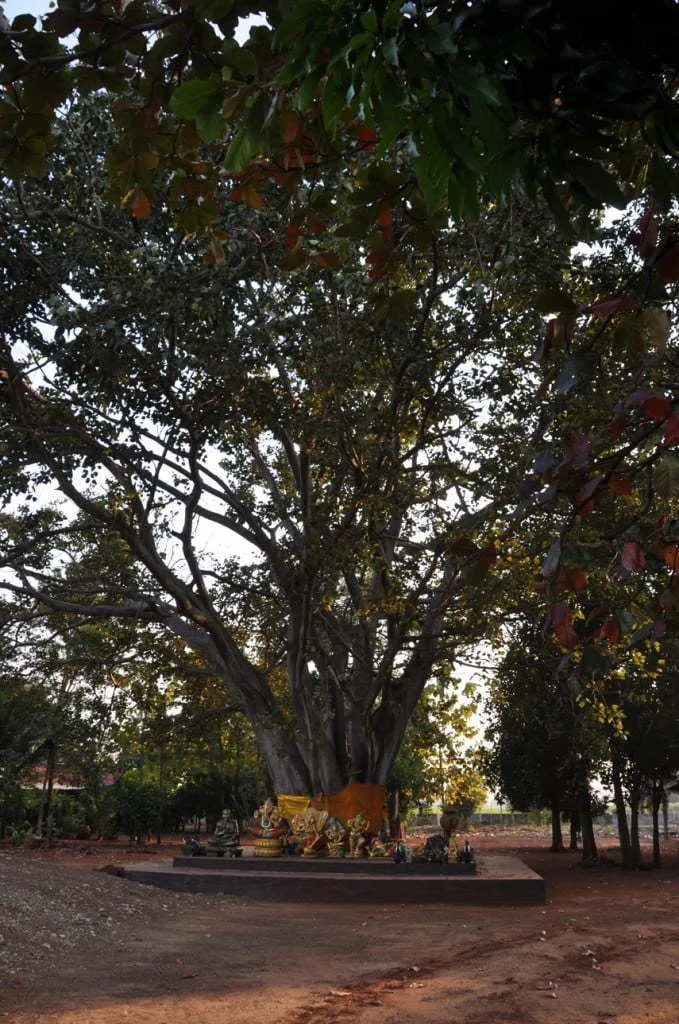 nakhon ratchasima