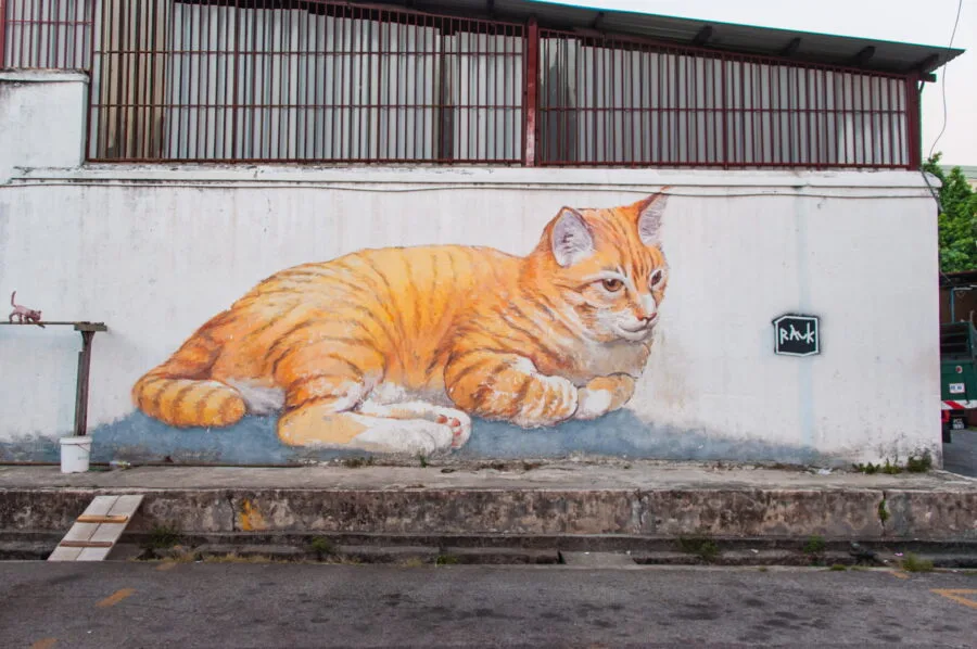 101 lost kittens skippy street art penang