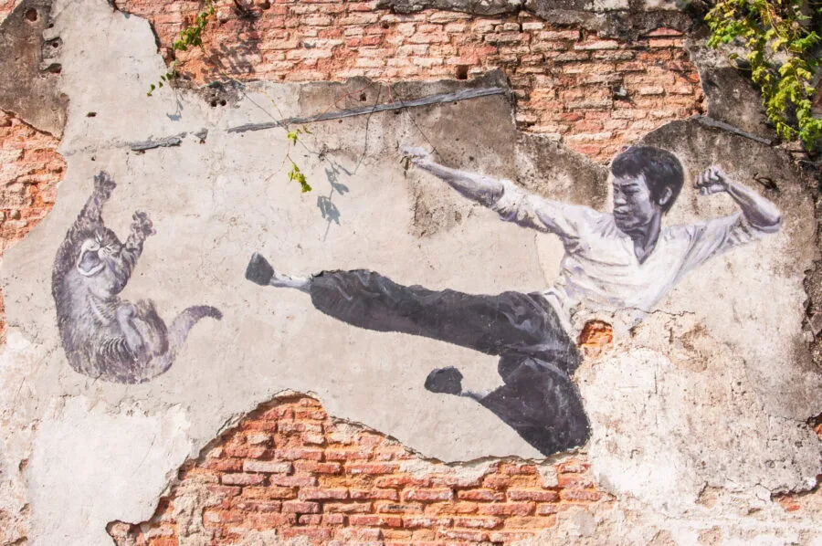the real bruce lee would never do this street art penang