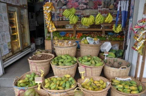 Tanah Rata Cameron Highlands Fruits