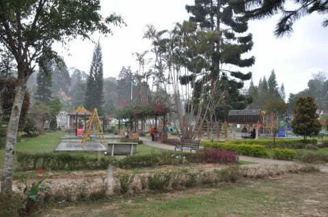 Rain Tanah Rata Public Park Cameron Highlands