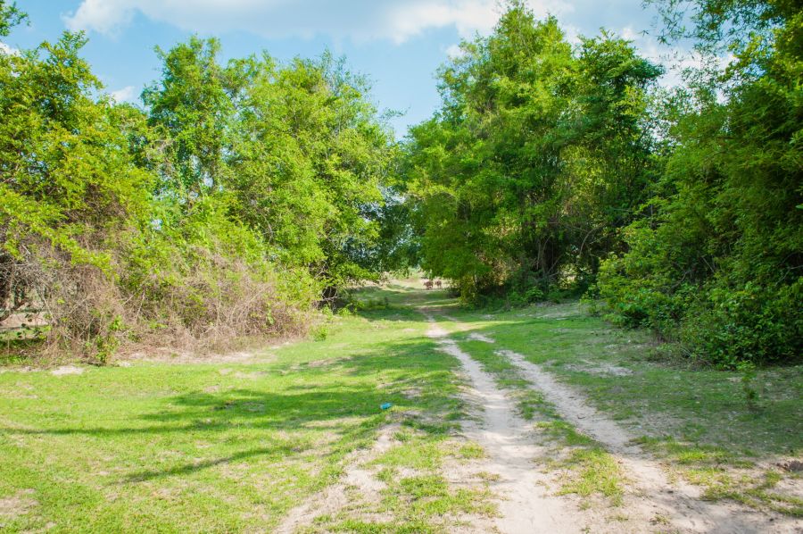 a la recherche de old phonsim savannakhet laos