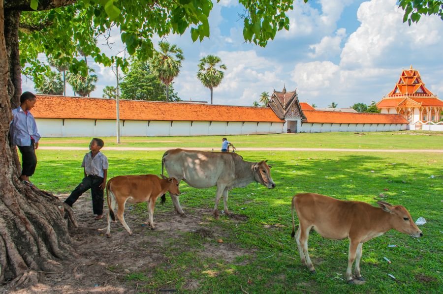 gamins devant temple that ing hang savannakhet laos