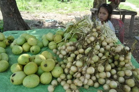 thakhek laos