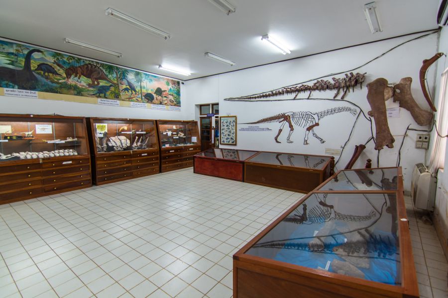 interieur du musee des dinosaures de savannakhet laos