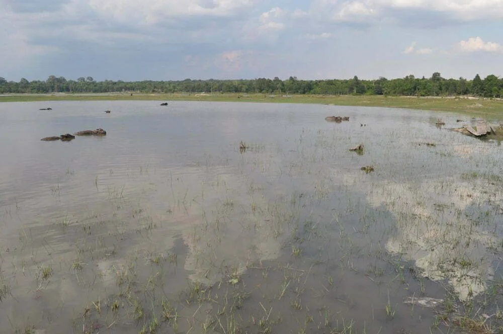 turtle lake savannakhet laos