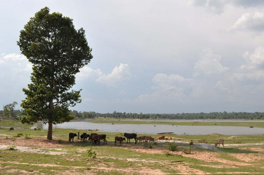 lac tortue savannakhet laos