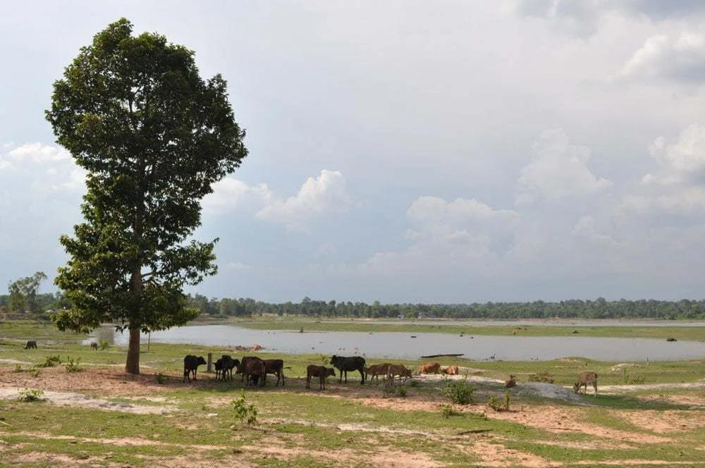 turtle lake savannakhet laos