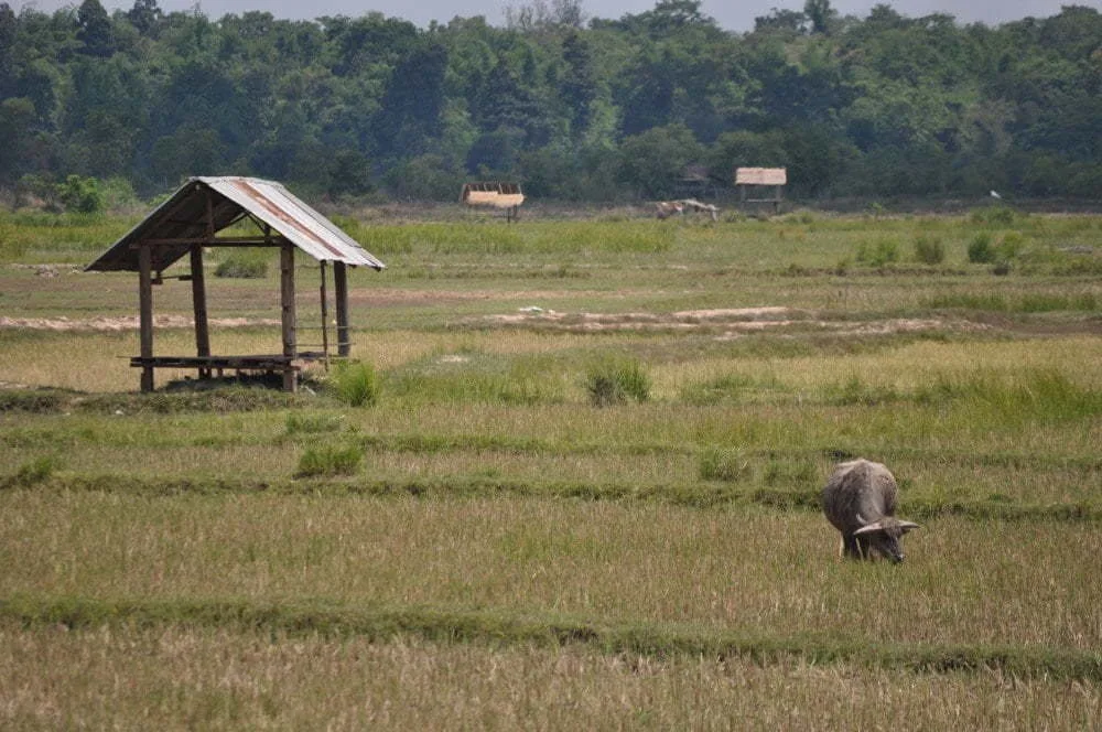 savannakhet laos