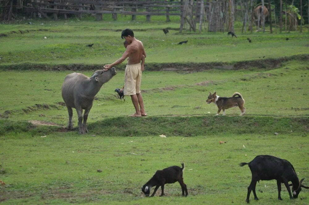 savannakhet laos